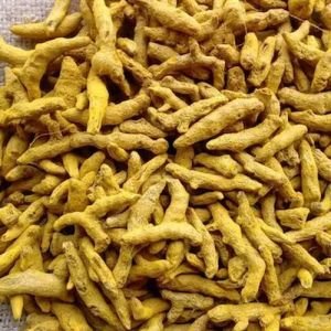 Turmeric Finger